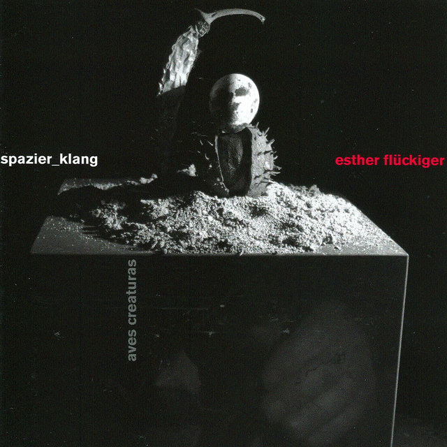 Spazier_Klang Aves Creaturas