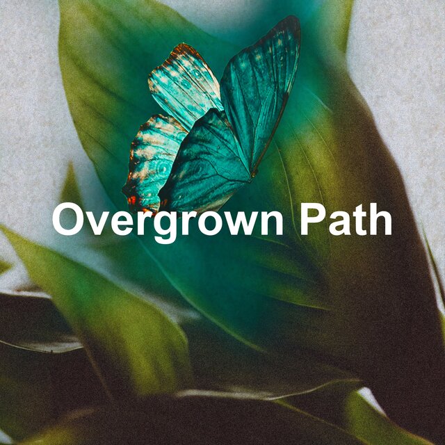 Overgrown Path