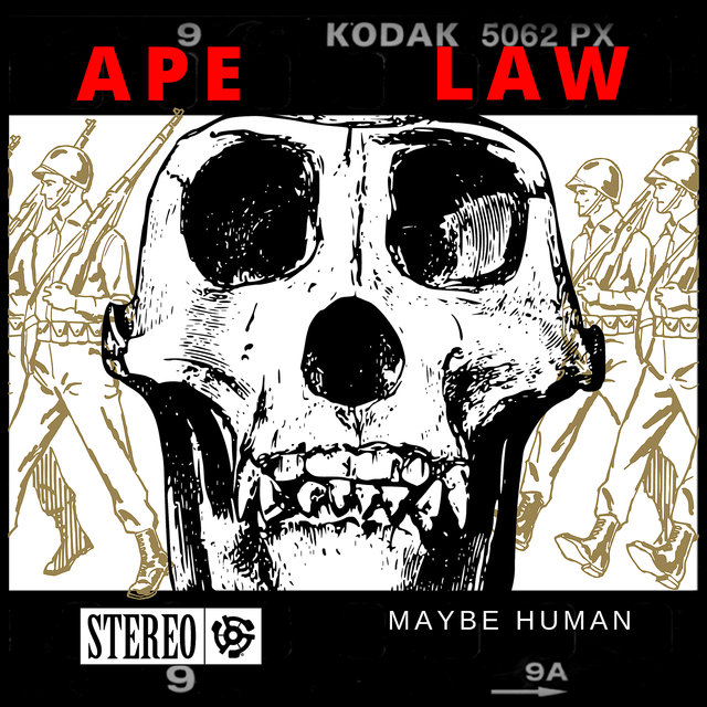 Ape Law