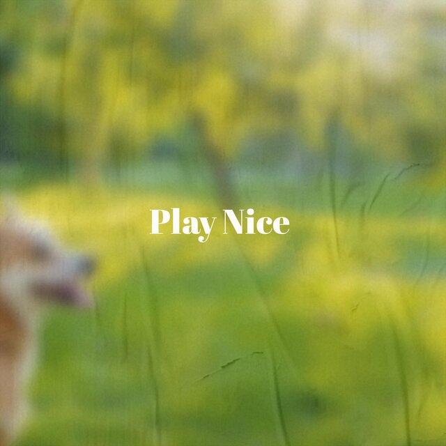 Play Nice