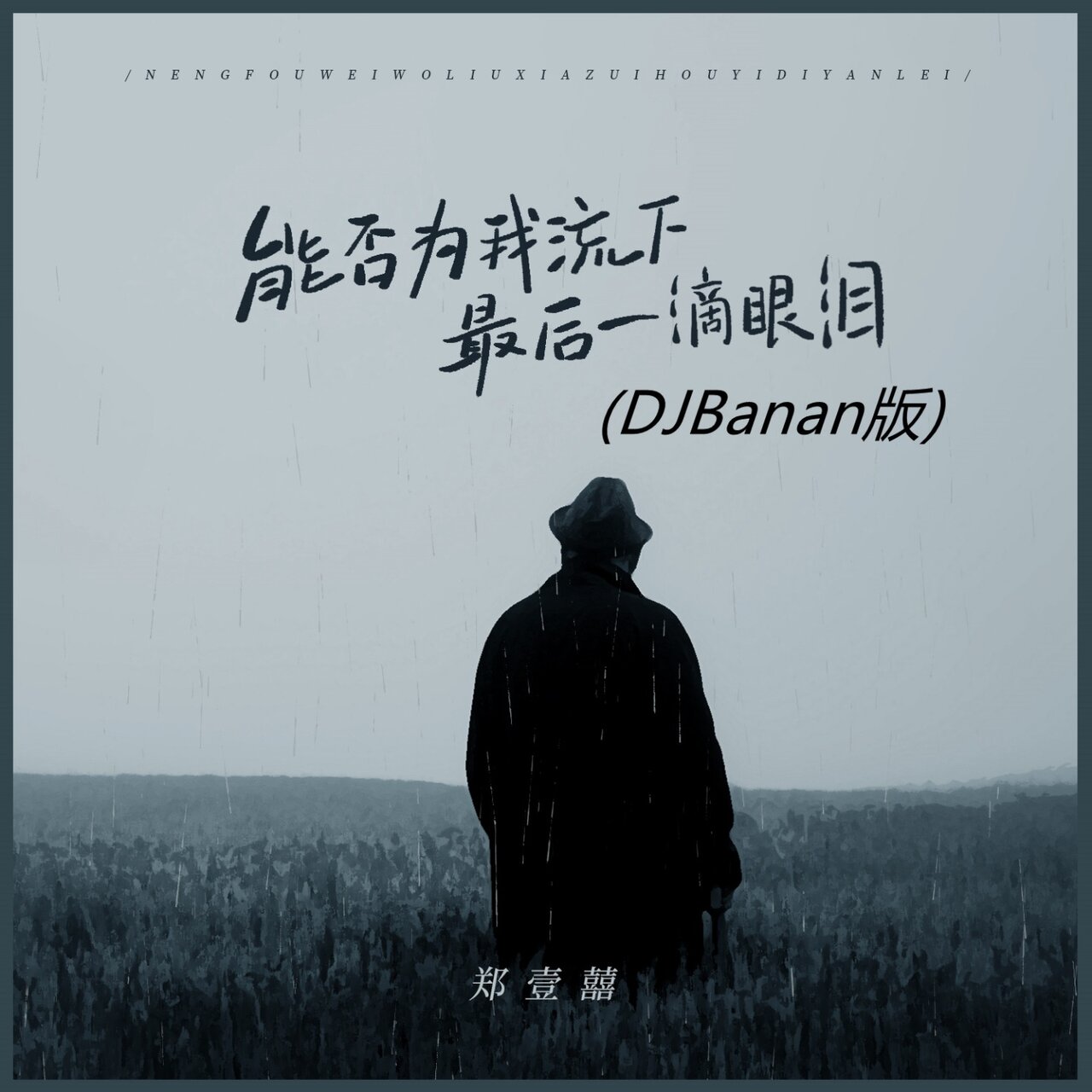 能否为我流下最后一滴眼泪(Djbanan版) / 郑壹囍- TIDAL