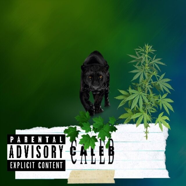 Caleb The Album