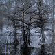 Cover art for album Nansemond by Nathan Bowles