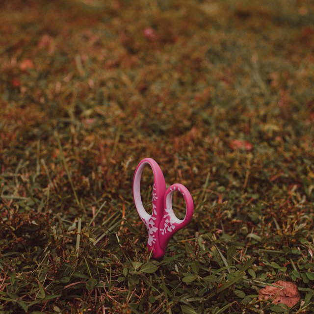 In the Grass (pink scissors)