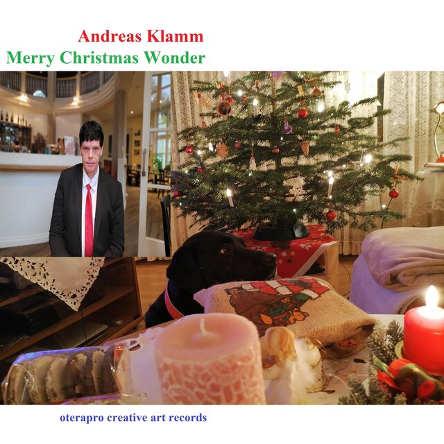 Merry Christmas Wonder