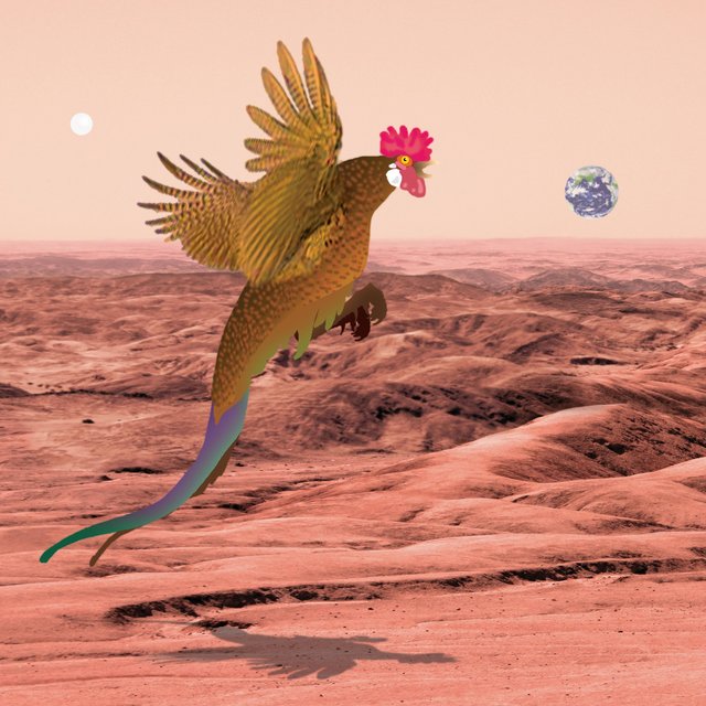 Martian Rooster