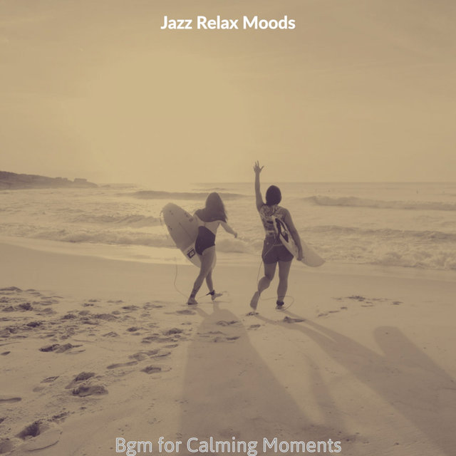 Bgm for Calming Moments