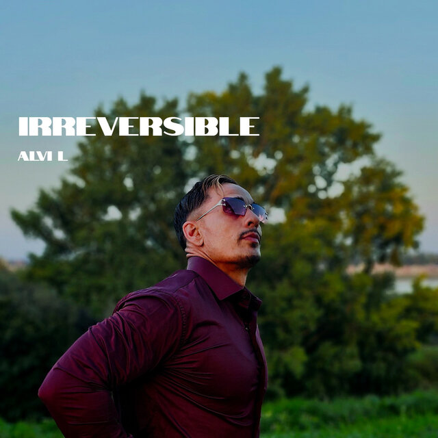 Irreversible (Radio Edit)