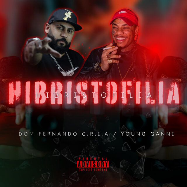 Hibristofilia