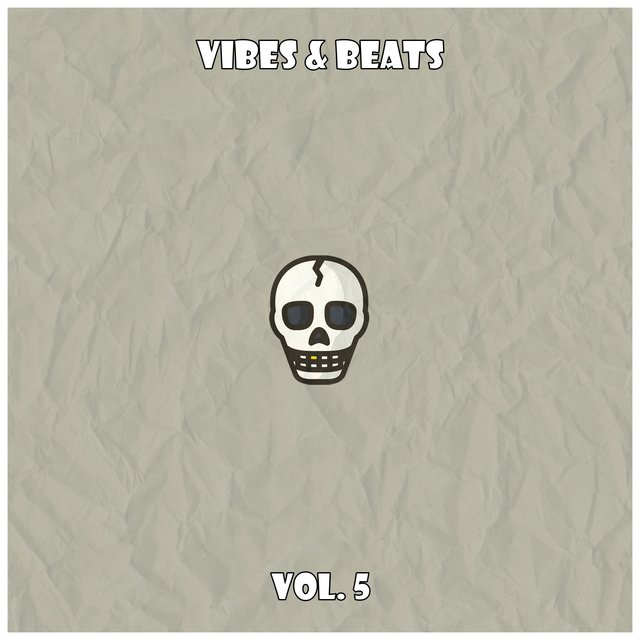 Vibes & Beats, Vol. 5