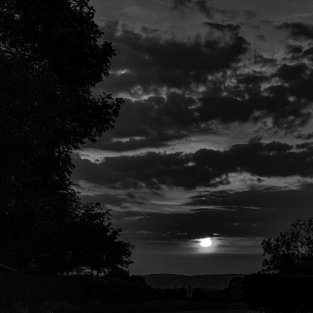 mirror of the sky