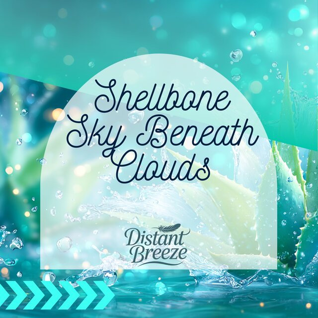 Shellbone Sky Beneath Clouds