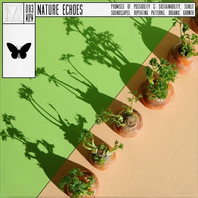 Nature Echoes