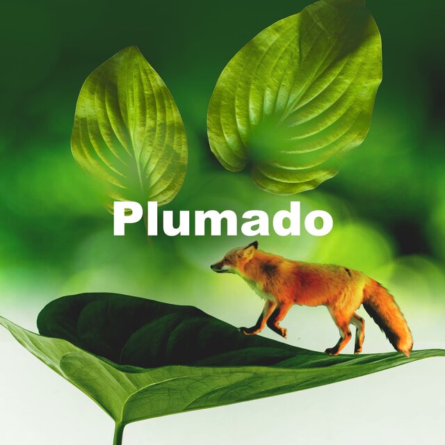 Plumado