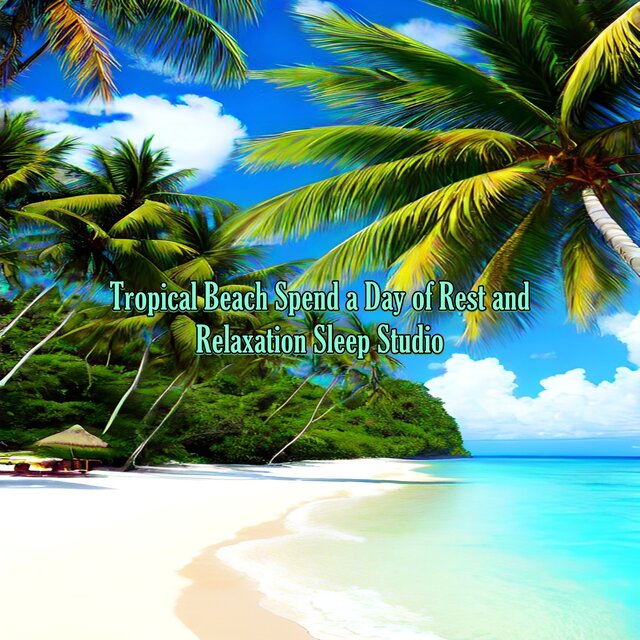 Tropical Beach Spend a Day of Rest and Relaxation Sleep Studio