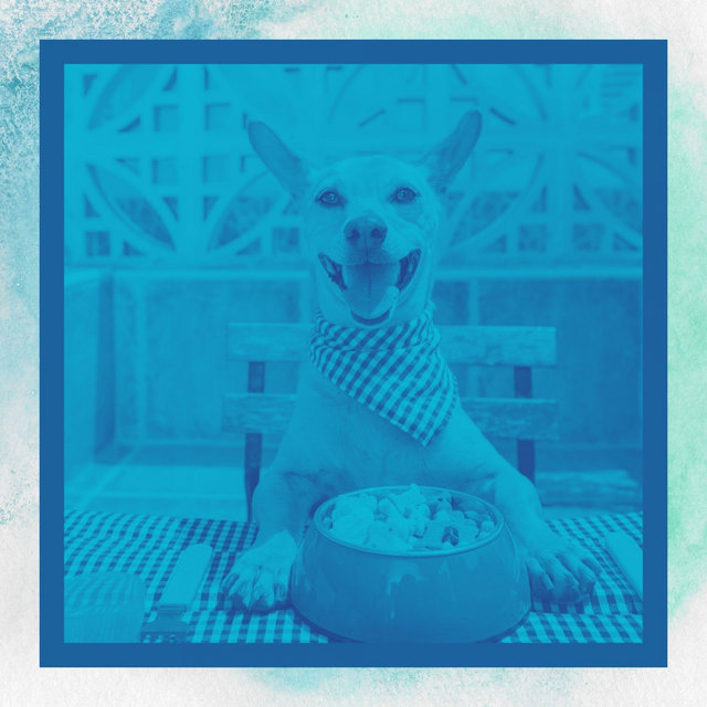 Easy Listening Guitar - Music for Calming Your Puppy