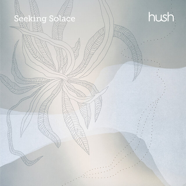 Seeking Solace