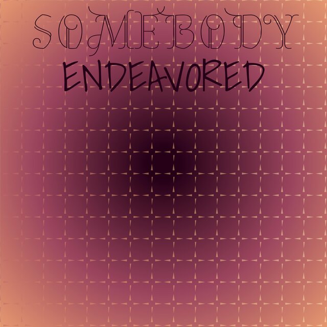 Somebody Endeavored