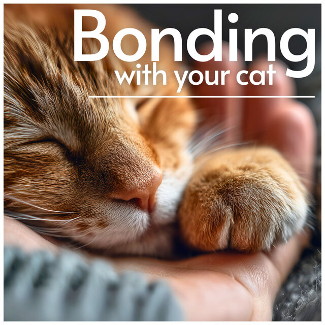 Bonding Songs for You and Your Cat