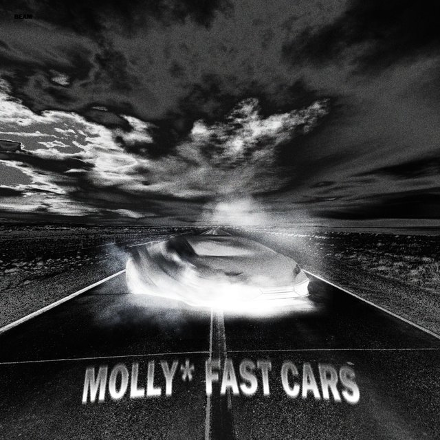 molly*fast cars