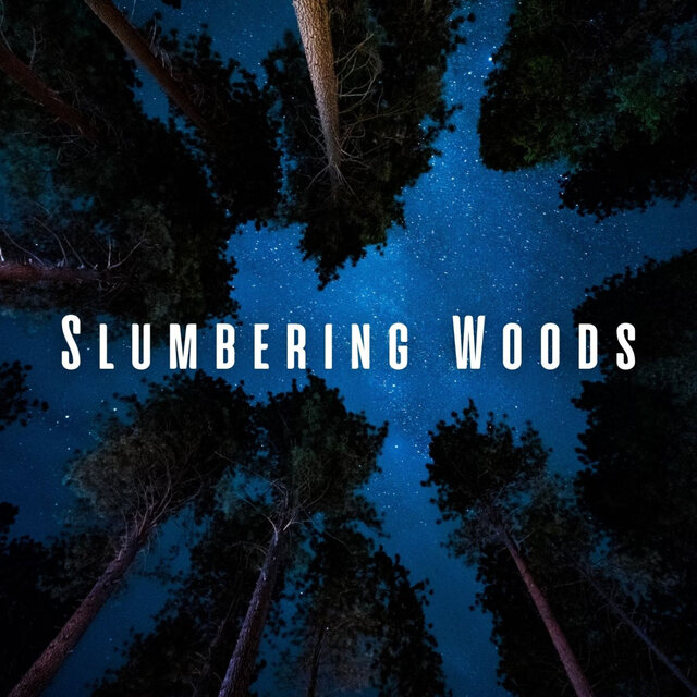 Slumbering Woods: Forest Sleep Soundscapes
