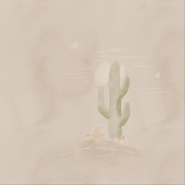 Christmas Cactus