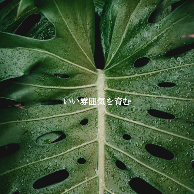 いい雰囲気を育む