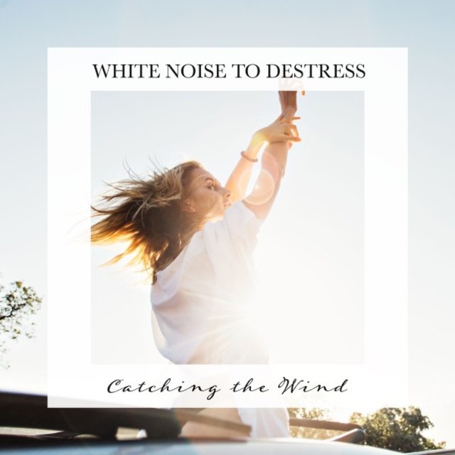 Cacthing the Wind: White Noise to Destress