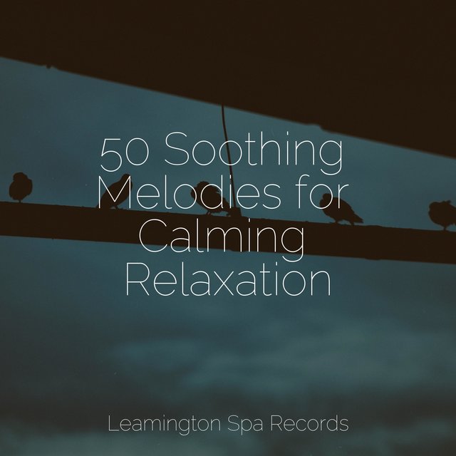50 Soothing Melodies for Calming Relaxation