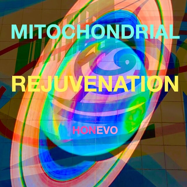 MITOCHONDRIAL REJUVENATION