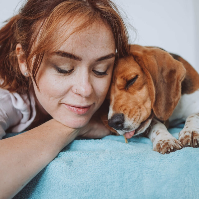 Pet's Dreamland: Enchanting Slumber with White Noise and Birds