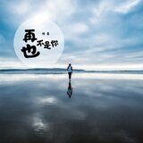 再也不是你