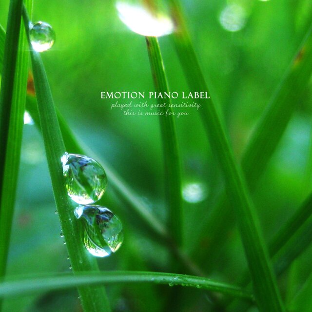 Freshness of morning dew