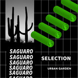 Sin plug in (Original Mix)