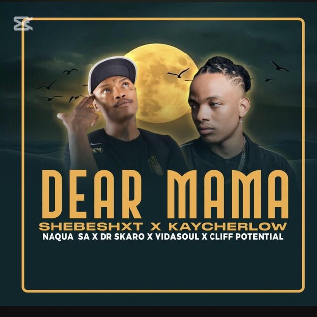 Dear mama (feat. Kaycherlow, Naqua SA, Dr Skaro, Vidasoul & Cliff potential)