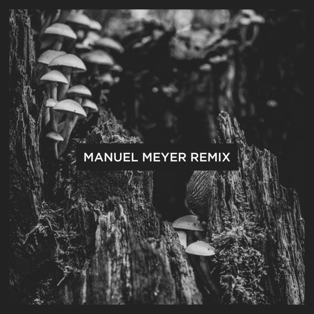 Kepler (Manuel Meyer Remix)
