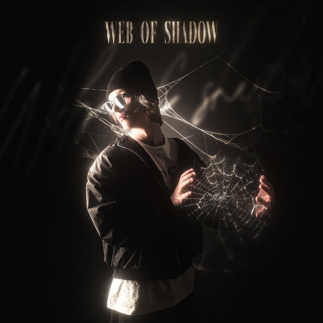 Web of Shadow