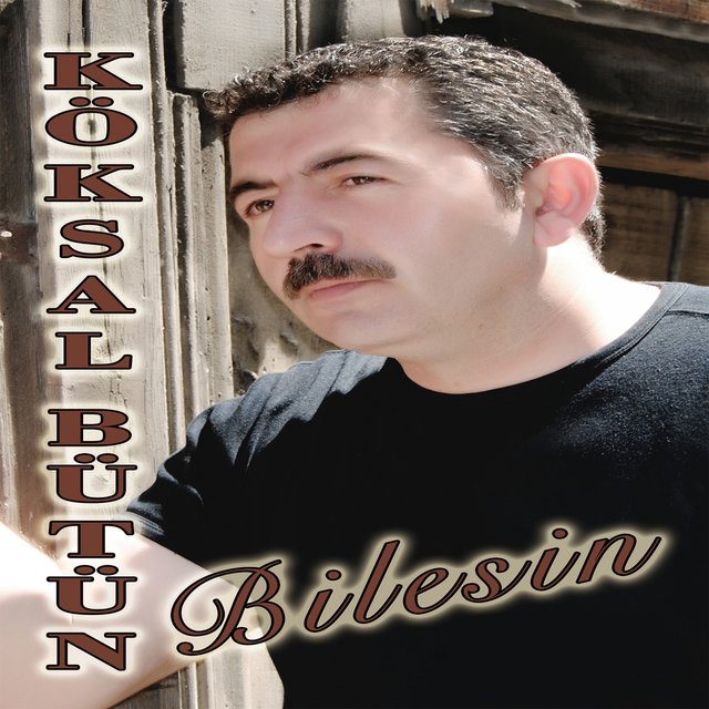 Bilesin