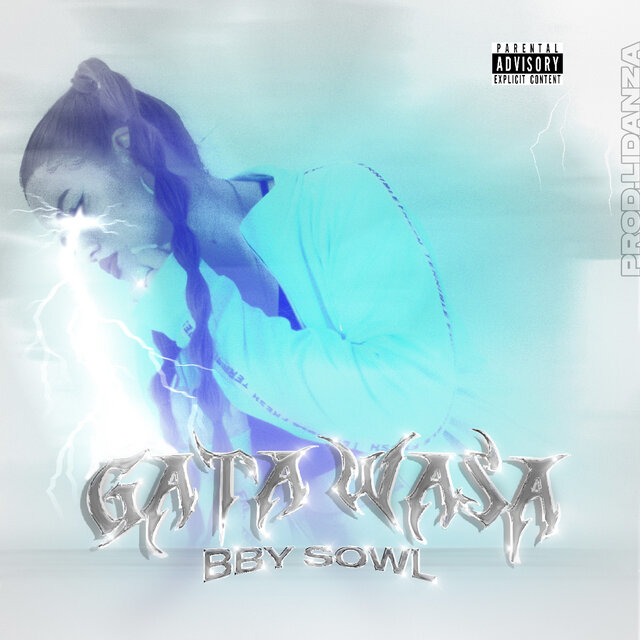 Gata Wasa