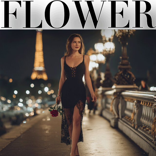 Paris - Midnight in Paris 巴黎午夜