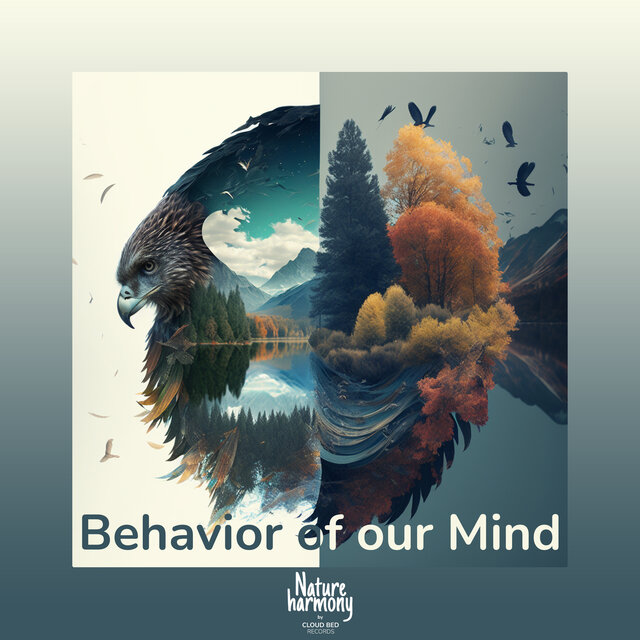 Behavior of our Mind