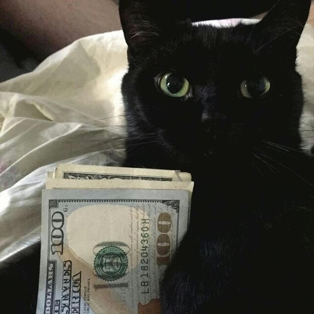 Getting Rich Is Easy