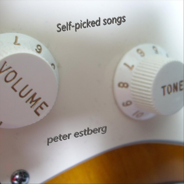 Self-Picked Songs