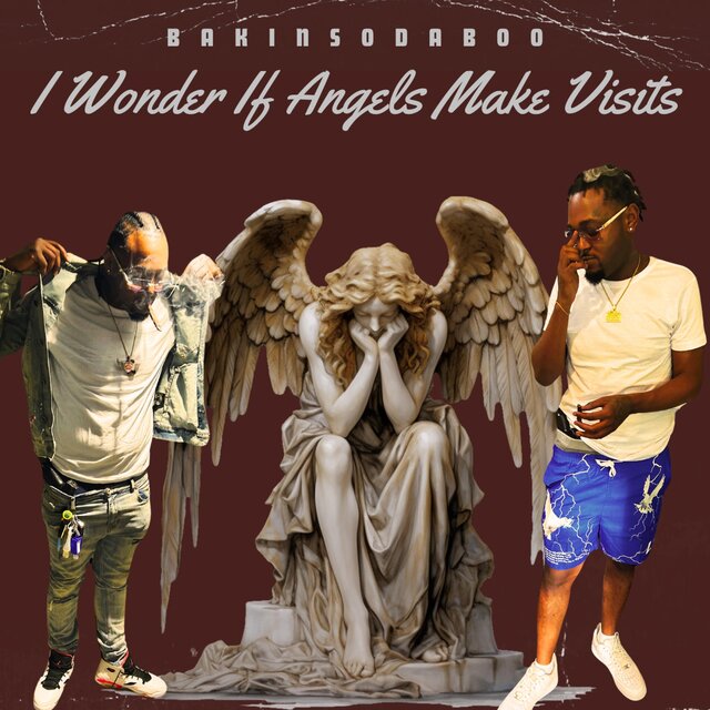 I Wonder If Angels Make Visits