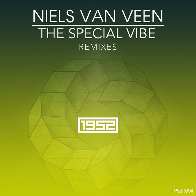 The Special Vibe (Remixes)
