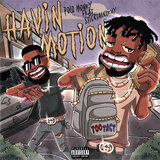 Havin Motion