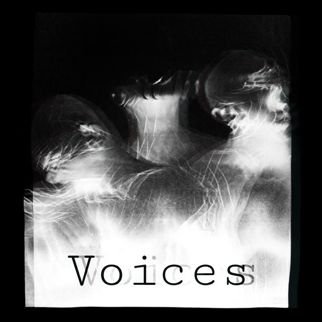 Voices