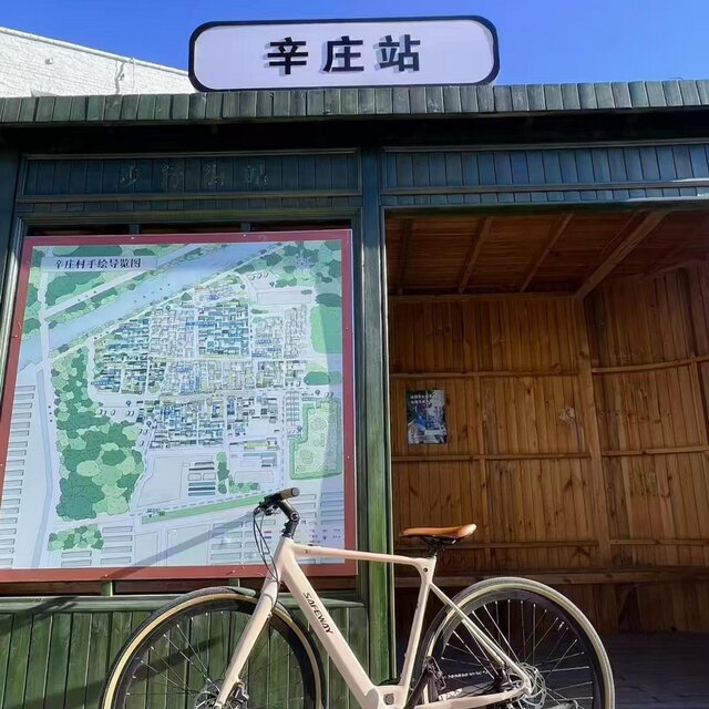 辛莊少年