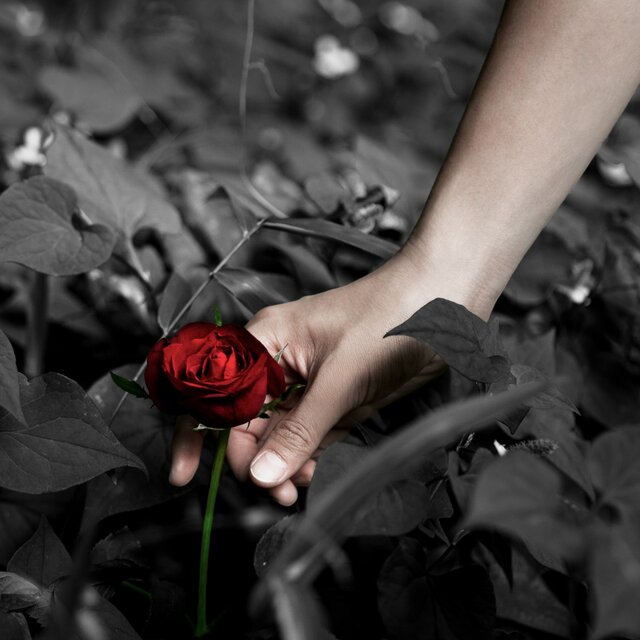 Only You