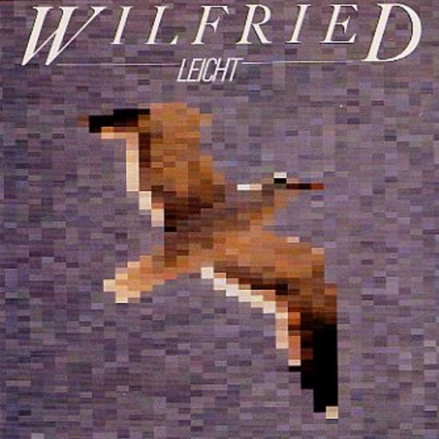 Leicht